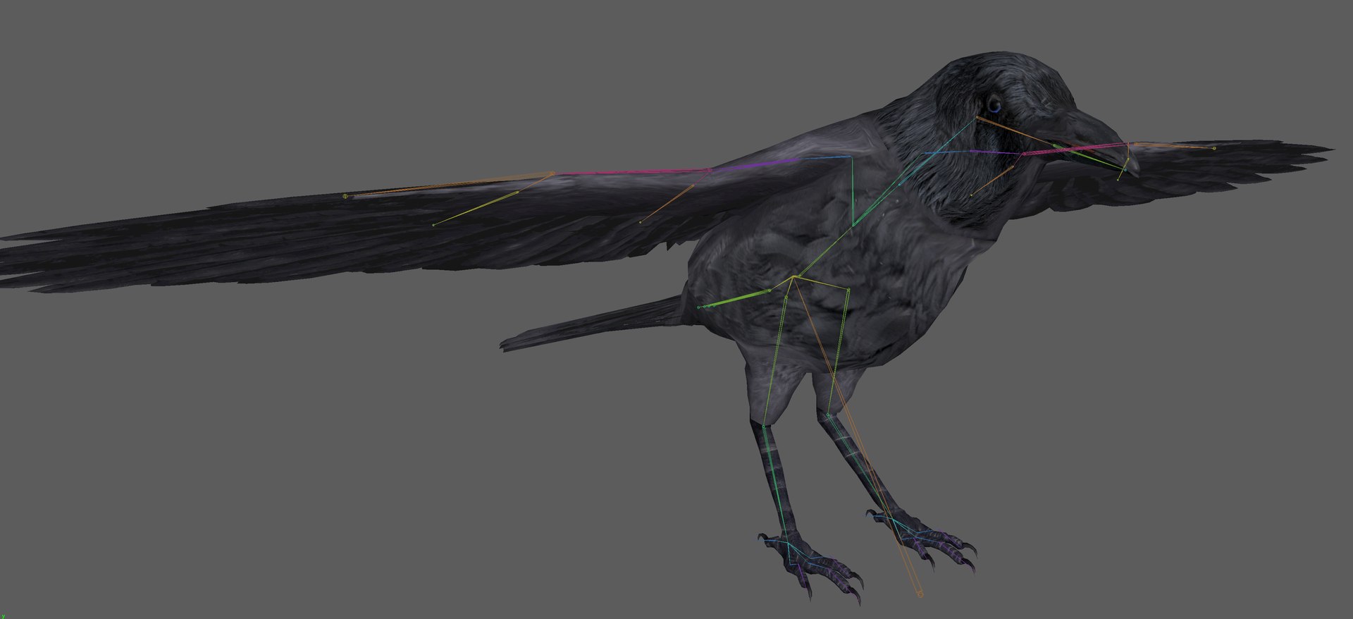 Crow Rigged 3D - TurboSquid 1899454