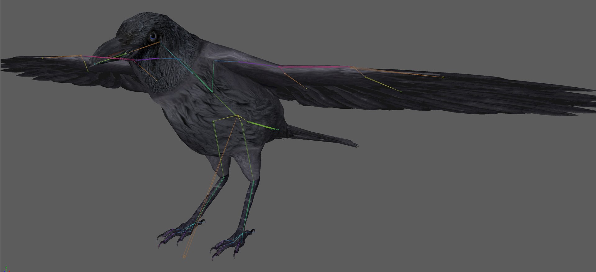Crow Rigged 3D - TurboSquid 1899454