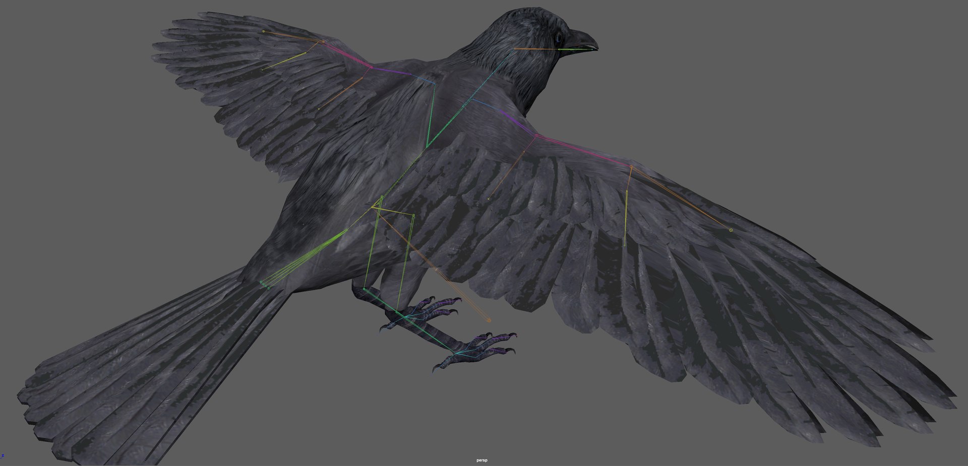 Crow Rigged 3D - TurboSquid 1899454