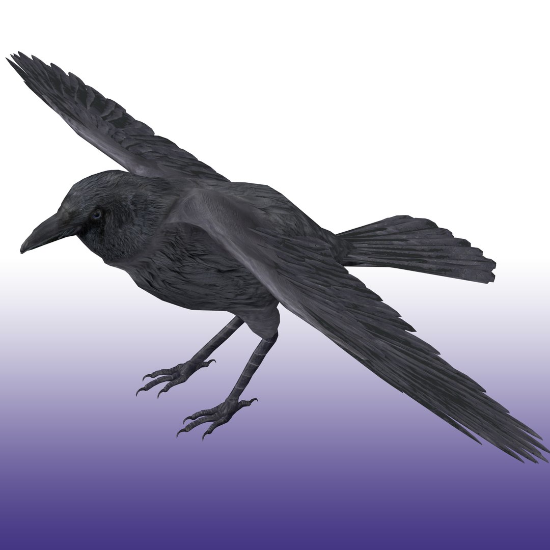 Crow Rigged 3D https://p.turbosquid.com/ts-thumb/CO/9jazWf/k7/render_snap_1/png/1652878989/1920x1080/fit_q87/c45fdcf0ea1080bc54adde1c4b924a8d73b820ce/render_snap_1.jpg