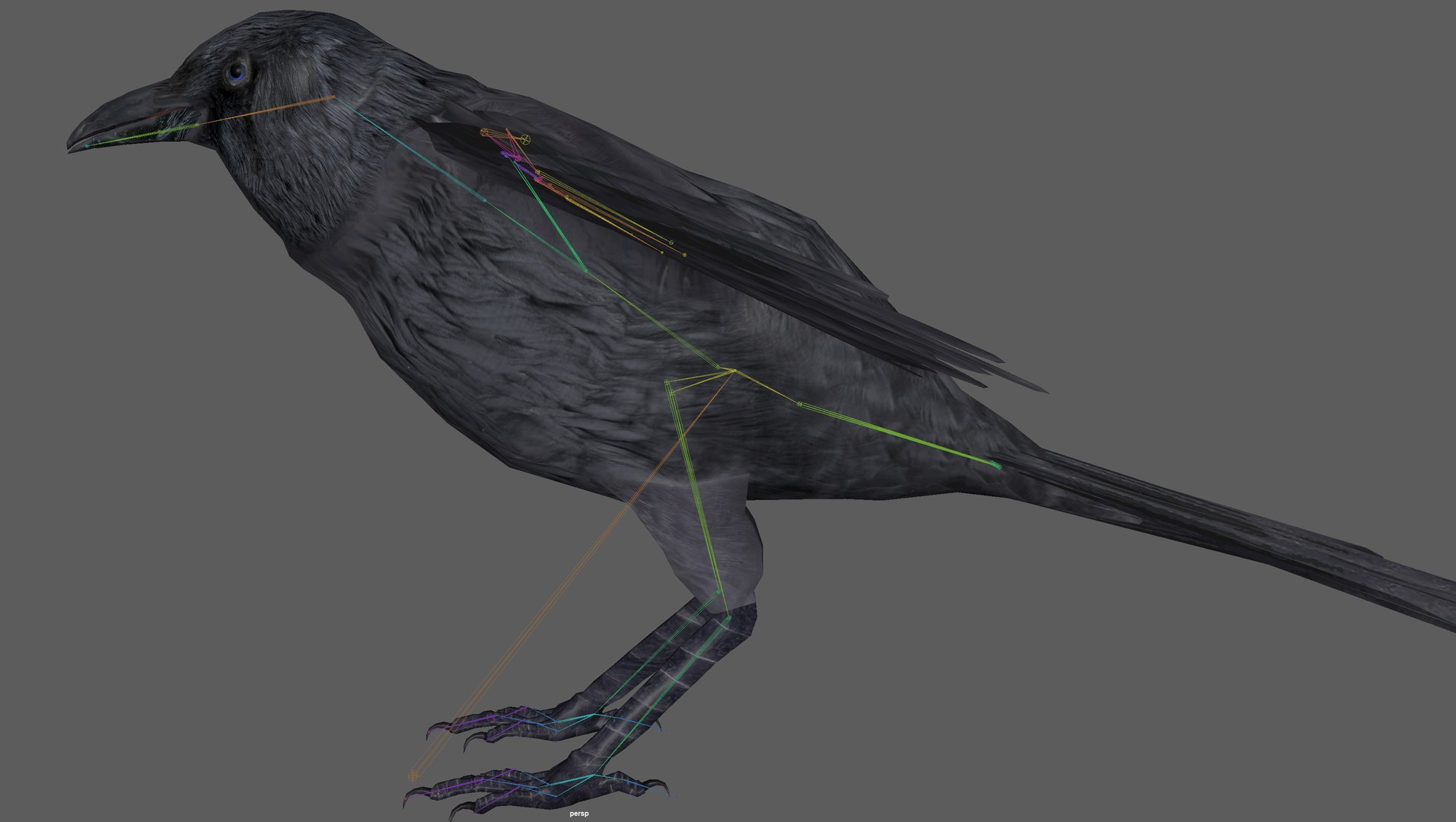 Crow Rigged 3D - TurboSquid 1899454