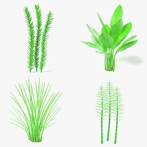 aquatic plants 3d 3ds