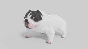 3D Pitbull Model