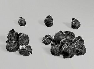 trash bag 3D