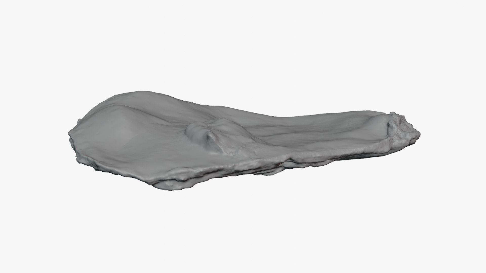 Top Half Oyster 02 for 3D Print 3D model https://p.turbosquid.com/ts-thumb/CO/IhkHL1/li/t_halfoyster02_0002/png/1750430197/1920x1080/fit_q87/779f8237df07c406ebed580a163b23ad3af4fbfa/t_halfoyster02_0002.jpg