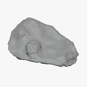 Top Half Oyster 02 for 3D Print 3D model