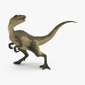 Deinonychus Posed