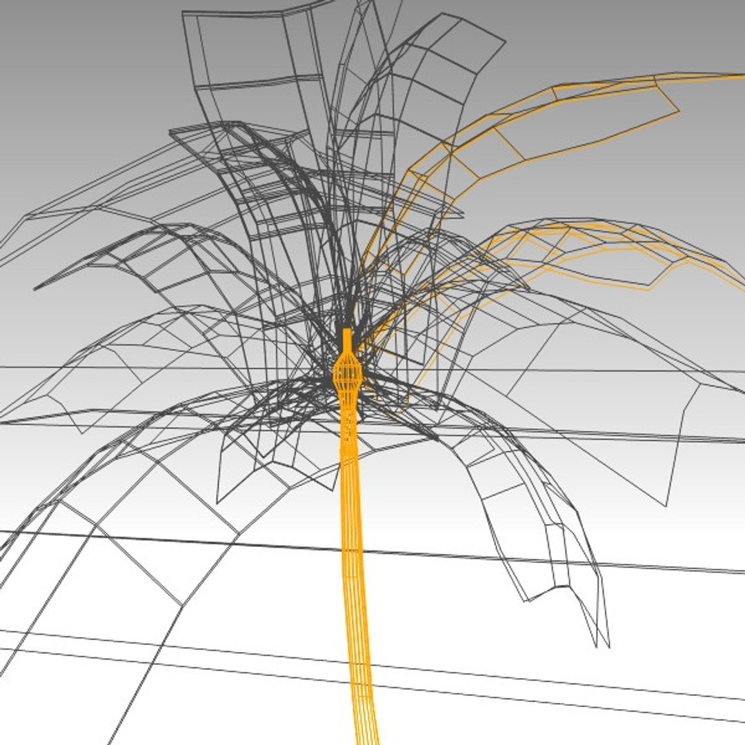 3d Palm Tree Model