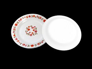 pyrex plate 3D model