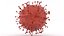 Coronavirus 2019-nCoV1