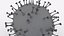 Coronavirus 2019-nCoV1