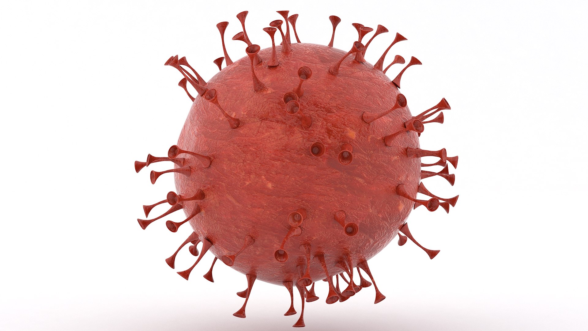 3D model 2019-ncov coronavirus virus https://p.turbosquid.com/ts-thumb/CO/SJi0VE/9xUstYVZ/coronavirus_06/jpg/1580209867/1920x1080/fit_q87/e50c4e94354ec2b452d1b931c7046ddd37502da6/coronavirus_06.jpg