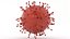 Coronavirus 2019-nCoV1