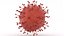 Coronavirus 2019-nCoV1