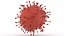 Coronavirus 2019-nCoV1