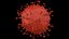 Coronavirus 2019-nCoV1