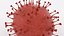 Coronavirus 2019-nCoV1