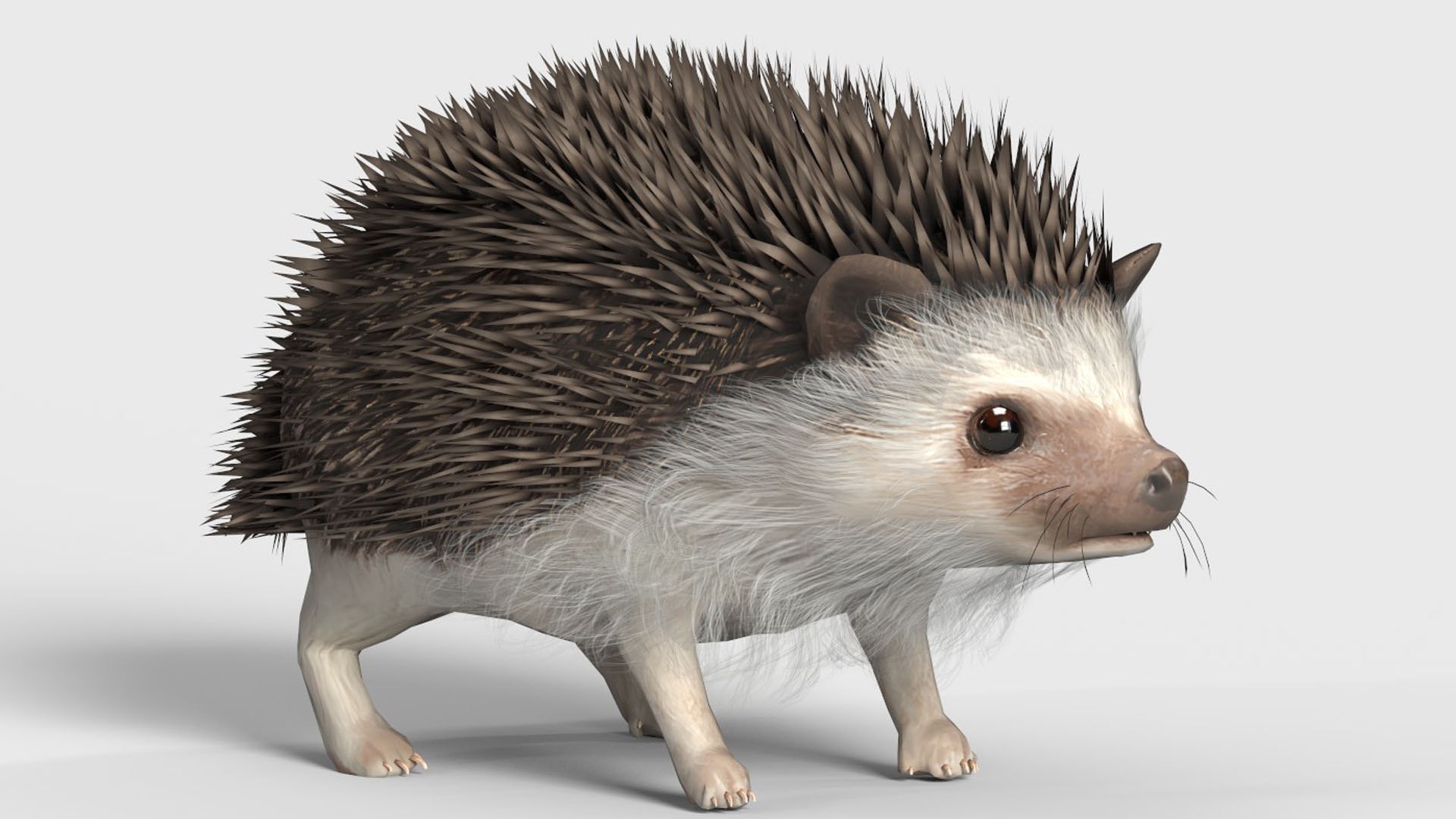 Realistic Hedgehog 3D Model Low Poly Rigged Low-poly 3D Model Model ...