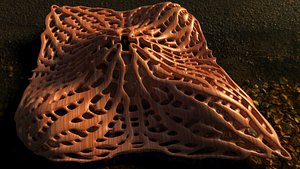 Pendant E8F5L50 for earring or coulomb.