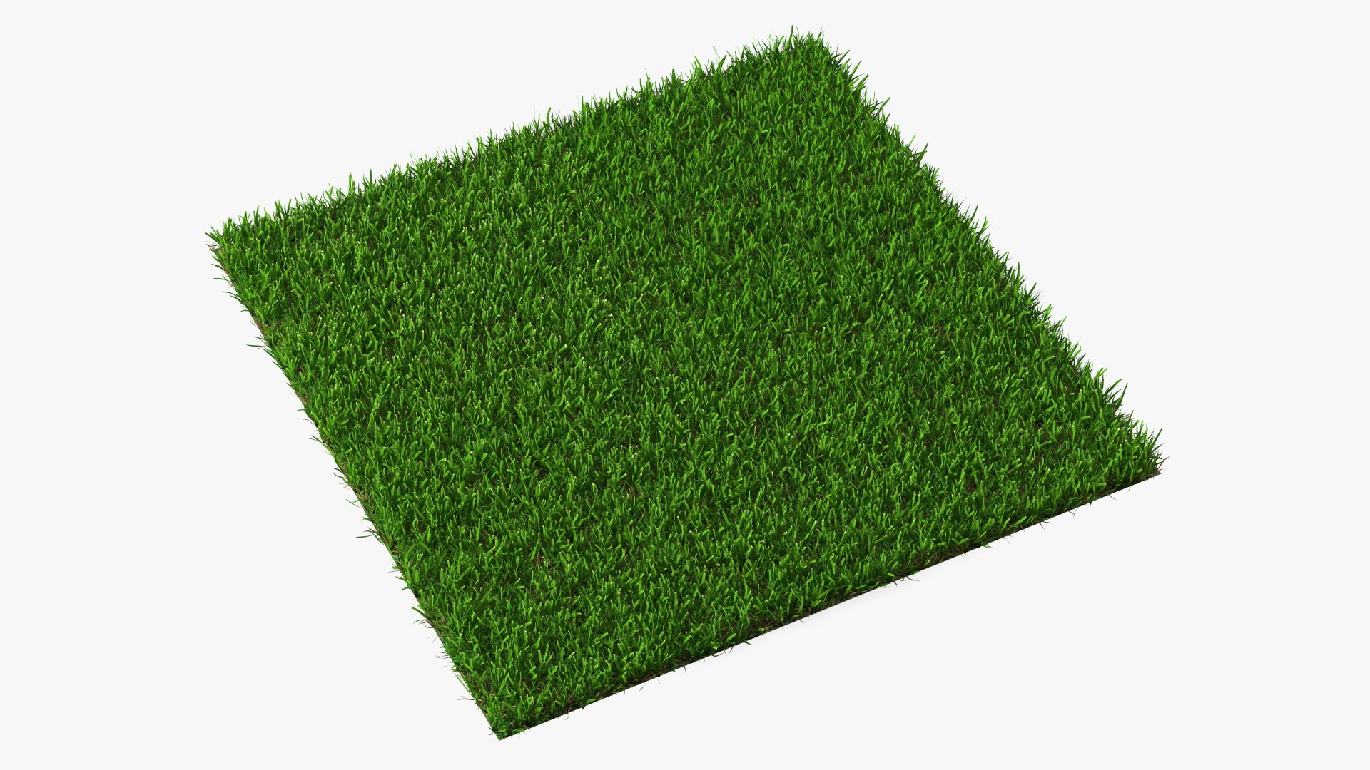 Grass Lawn Collection 3D model preview
