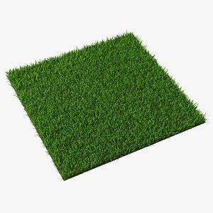 3D Zoysia Grass Patch