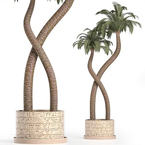 palm tree egyptian 3D model