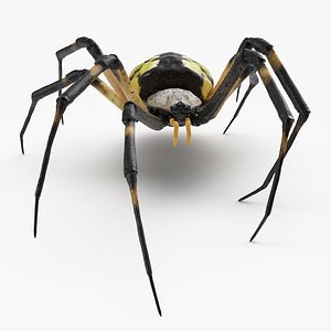 McKinley Spider