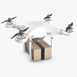 Delivery Drone