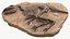 Fossile de dinosaure 009 texturé
