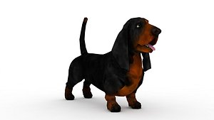 Dachshund Dog