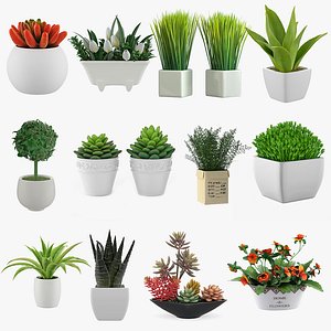 12 Pot plant 3D models