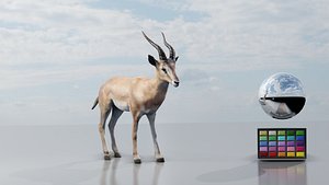 Gazelle - Rigged 3D model
