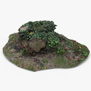Tree Stump Scan