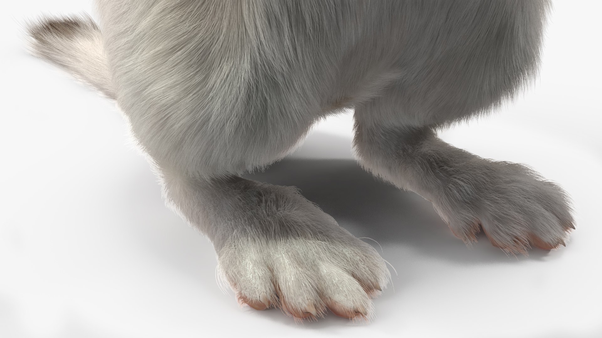 3D Standing White Ermine Fur https://p.turbosquid.com/ts-thumb/CQ/F0bMmc/CH/standingwhiteerminefur3dmodel011/jpg/1711107004/1920x1080/fit_q87/0052030fa6aee6ccb5790d67fffb816cde19a10f/standingwhiteerminefur3dmodel011.jpg