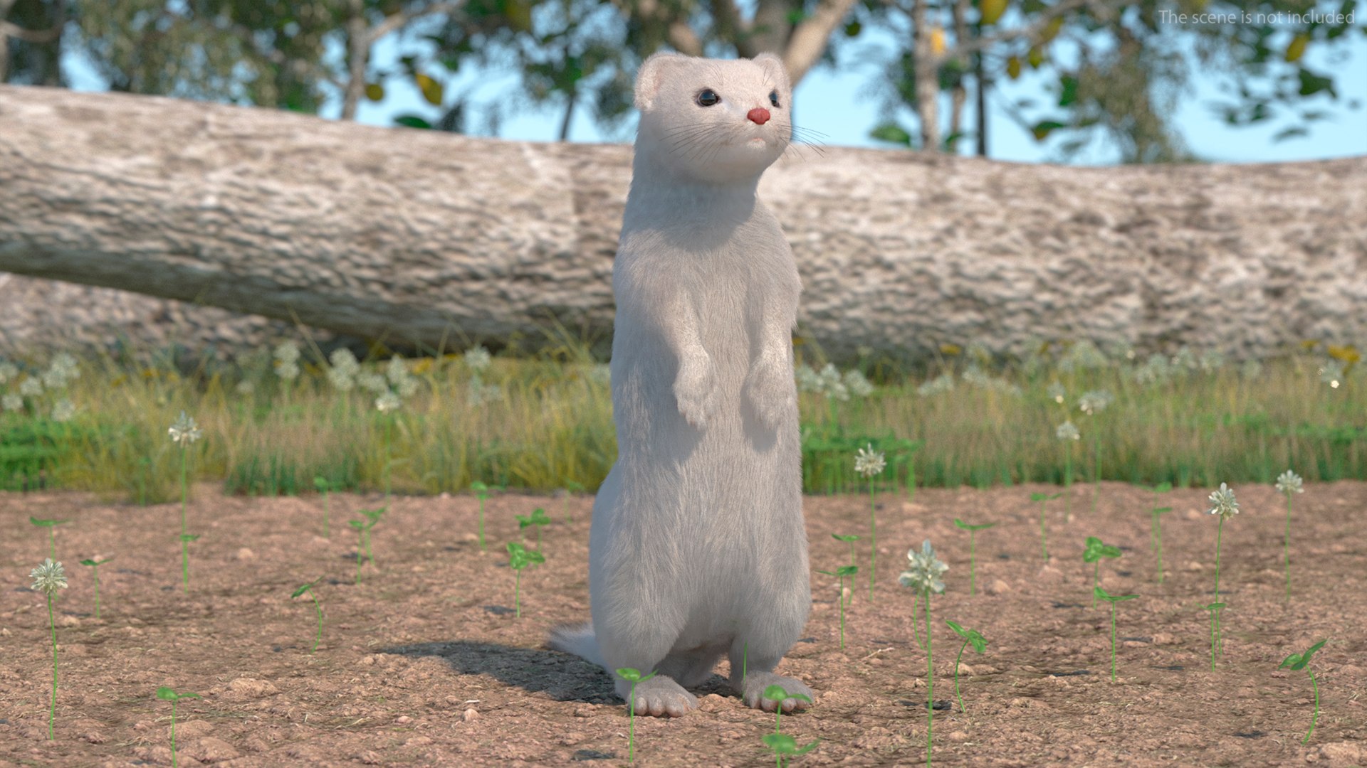 3D Standing White Ermine Fur https://p.turbosquid.com/ts-thumb/CQ/F0bMmc/L3/standingwhiteerminefur3dmodel002/jpg/1711106951/1920x1080/fit_q87/4bb16b19cca98bf9bbf74cf938c8d70e06df8001/standingwhiteerminefur3dmodel002.jpg