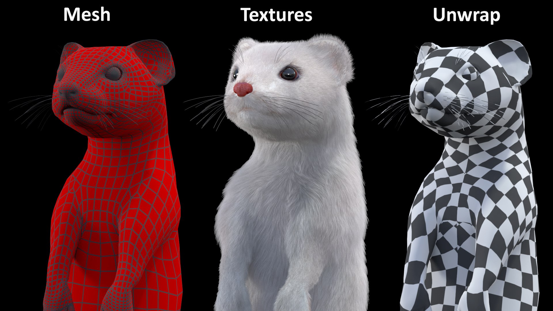 3D Standing White Ermine Fur https://p.turbosquid.com/ts-thumb/CQ/F0bMmc/ff/standingwhiteerminefur3dmodel013/jpg/1711107015/1920x1080/fit_q87/dc9c805ca1b392a34aa1e581bba165267cfa85e0/standingwhiteerminefur3dmodel013.jpg