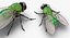 In Ordnung gebrachte Flying Insects Collection 2 für Maya