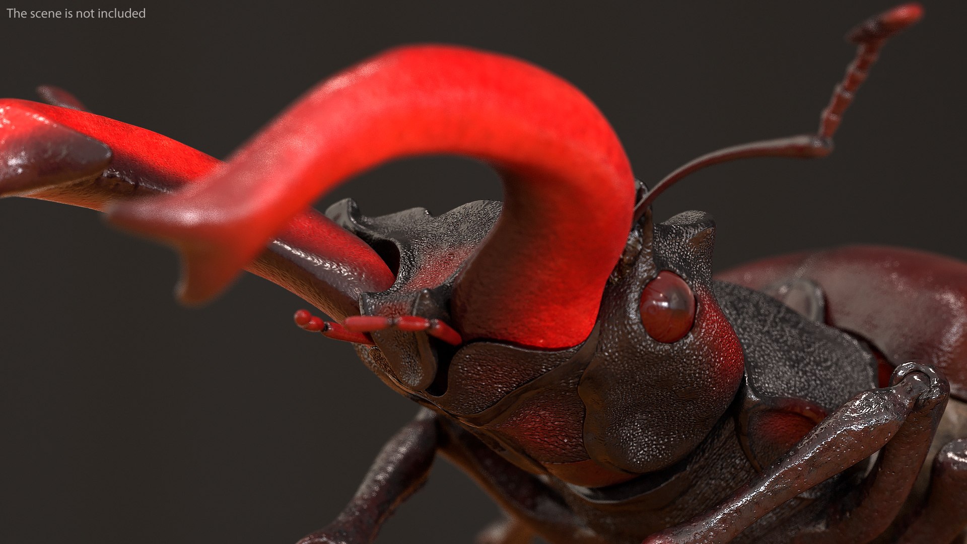rigged flying insects 2 model https://p.turbosquid.com/ts-thumb/CQ/JOiv0L/7skExbXH/riggedflyinginsectscollection2c4dmodel023/jpg/1603705632/1920x1080/fit_q87/168a5fa8d72fffc4010e6f0b5eafd6aa7b626363/riggedflyinginsectscollection2c4dmodel023.jpg