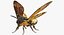 In Ordnung gebrachte Flying Insects Collection 2 für Maya