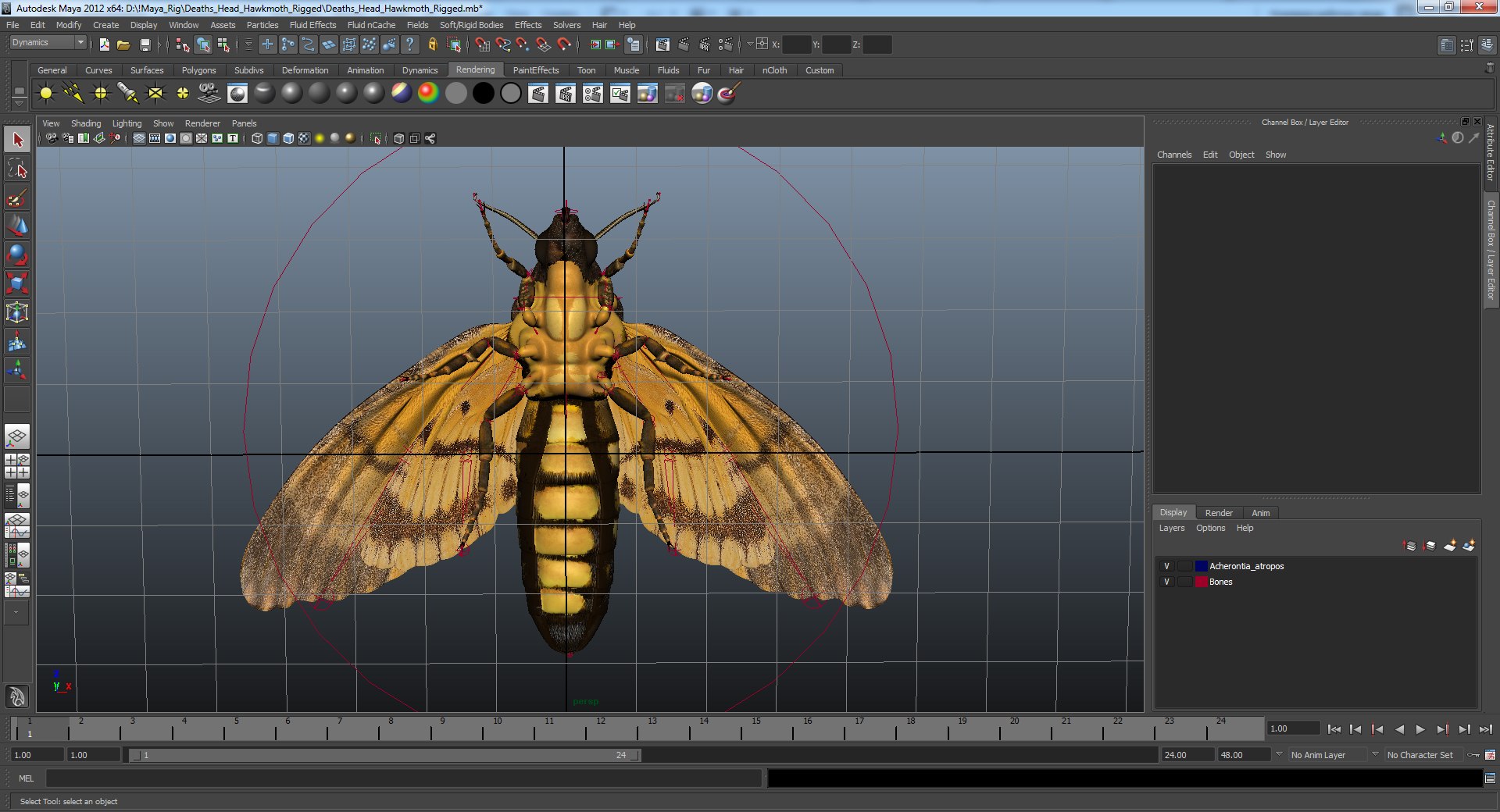 rigged flying insects 2 model https://p.turbosquid.com/ts-thumb/CQ/JOiv0L/ATVefJ8w/deathsheadhawkmothriggedmayamb3dmodel21/jpg/1604118160/1920x1080/fit_q87/87f587086e41e9d3cc393247dc74fa423fa65611/deathsheadhawkmothriggedmayamb3dmodel21.jpg