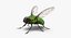 In Ordnung gebrachte Flying Insects Collection 2 für Maya