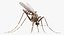 In Ordnung gebrachte Flying Insects Collection 2 für Maya