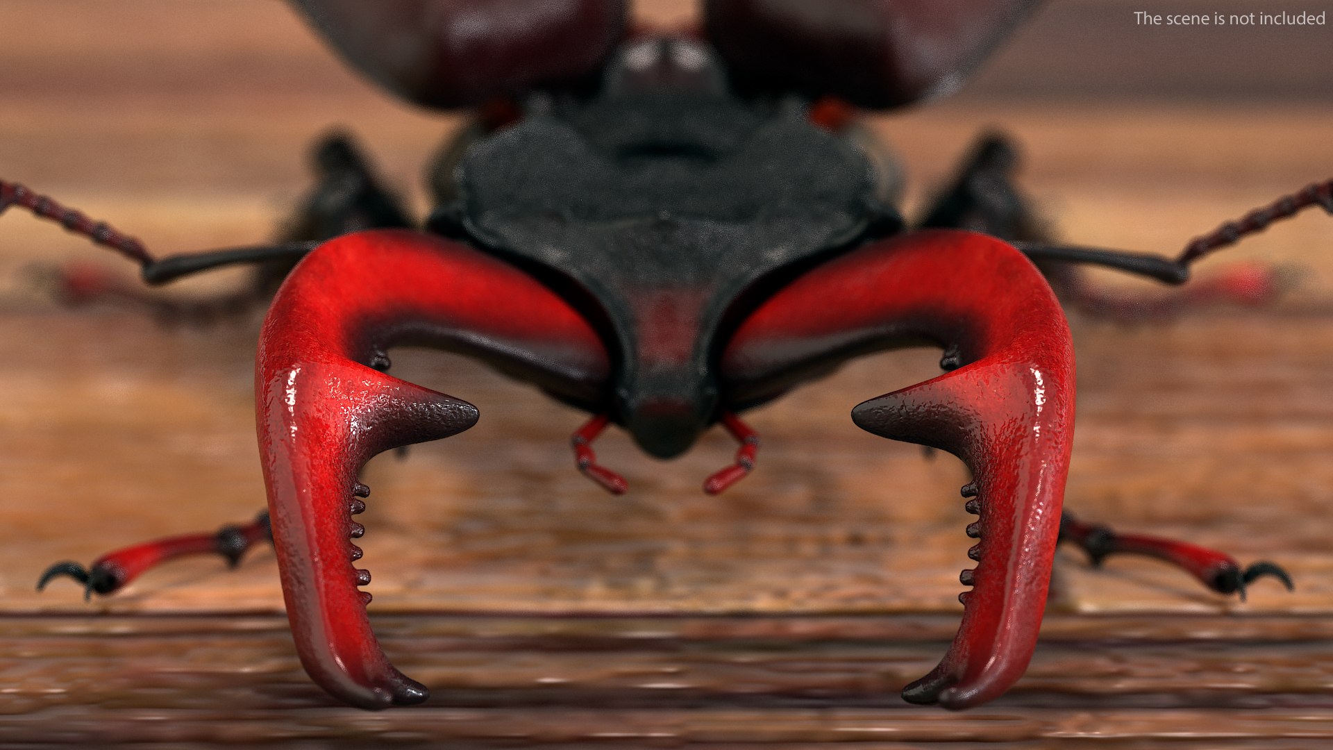rigged flying insects 2 model https://p.turbosquid.com/ts-thumb/CQ/JOiv0L/EuakW1Qn/riggedflyinginsectscollection2c4dmodel022/jpg/1603705632/1920x1080/fit_q87/3a8936fac7ef4bd97eeb3b164377ae65960a8d5d/riggedflyinginsectscollection2c4dmodel022.jpg
