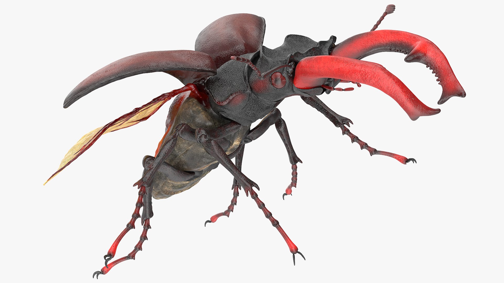 rigged flying insects 2 model https://p.turbosquid.com/ts-thumb/CQ/JOiv0L/Fic7QdPf/riggedflyinginsectscollection2c4dmodel026/jpg/1603705632/1920x1080/fit_q87/518a859c7a3c89e8c942bf66249e14671d0f1f7d/riggedflyinginsectscollection2c4dmodel026.jpg