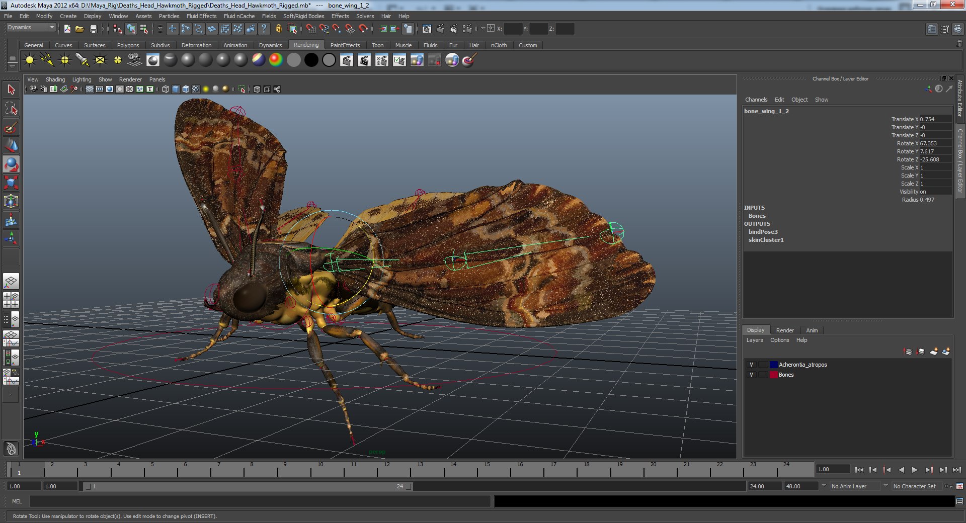 rigged flying insects 2 model https://p.turbosquid.com/ts-thumb/CQ/JOiv0L/L9DDJo3Q/deathsheadhawkmothriggedmayamb3dmodel22/jpg/1604118160/1920x1080/fit_q87/6ea4490fcbc021237e524622a239a457bd1484c6/deathsheadhawkmothriggedmayamb3dmodel22.jpg