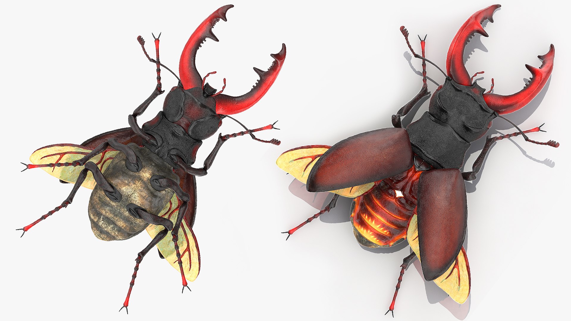 rigged flying insects 2 model https://p.turbosquid.com/ts-thumb/CQ/JOiv0L/MfIyP2nH/riggedflyinginsectscollection2c4dmodel027/jpg/1603705632/1920x1080/fit_q87/b228e25b45417c52f698ab1f4d2a21be3430b3c9/riggedflyinginsectscollection2c4dmodel027.jpg