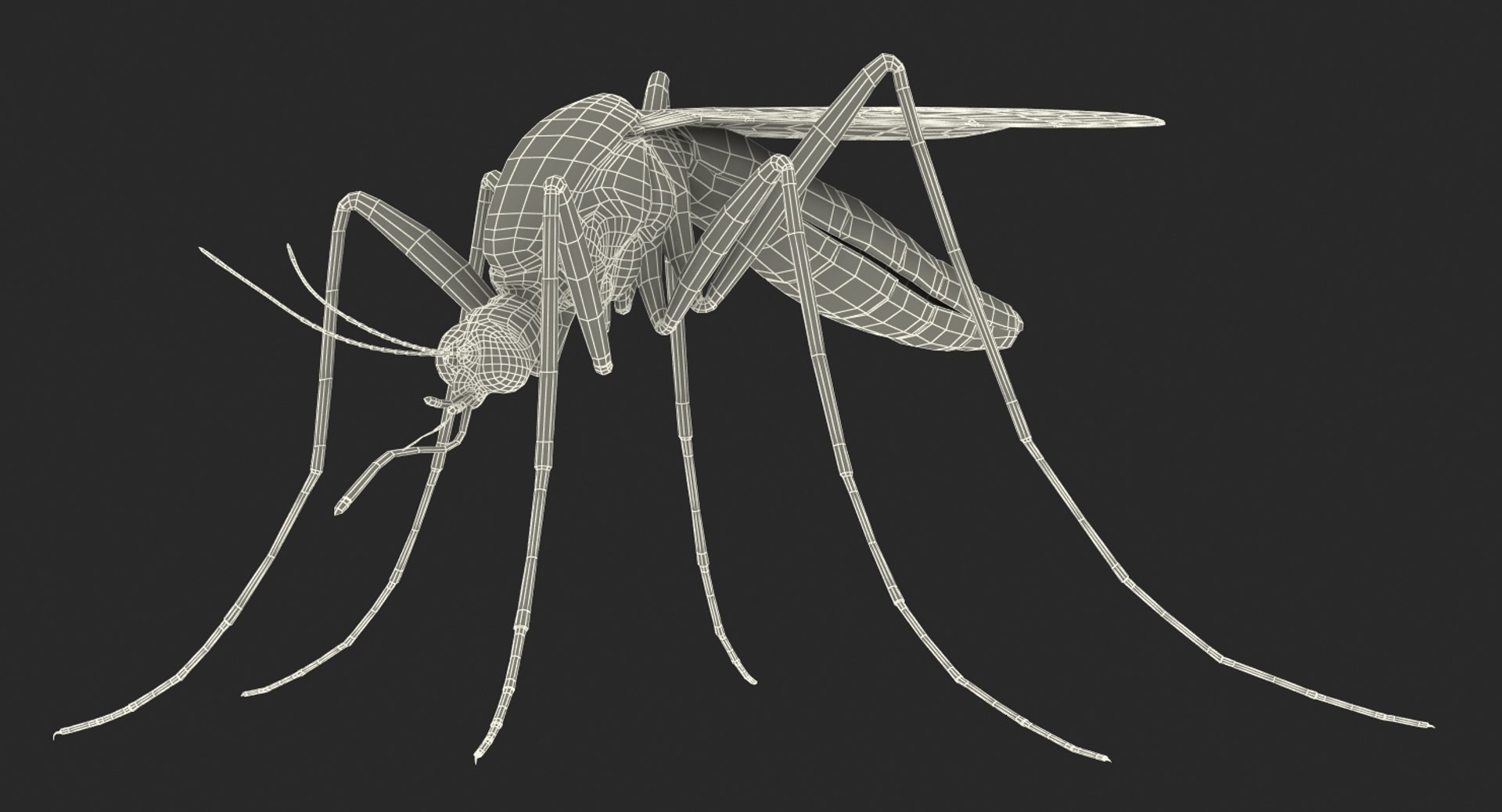 rigged flying insects 2 model https://p.turbosquid.com/ts-thumb/CQ/JOiv0L/NMougotQ/riggedflyinginsectscollection2c4dmodel079/jpg/1603705634/1920x1080/fit_q87/5ce455e408eea149cae762e17db3920700656d47/riggedflyinginsectscollection2c4dmodel079.jpg