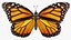 In Ordnung gebrachte Flying Insects Collection 2 für Maya