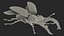 In Ordnung gebrachte Flying Insects Collection 2 für Maya