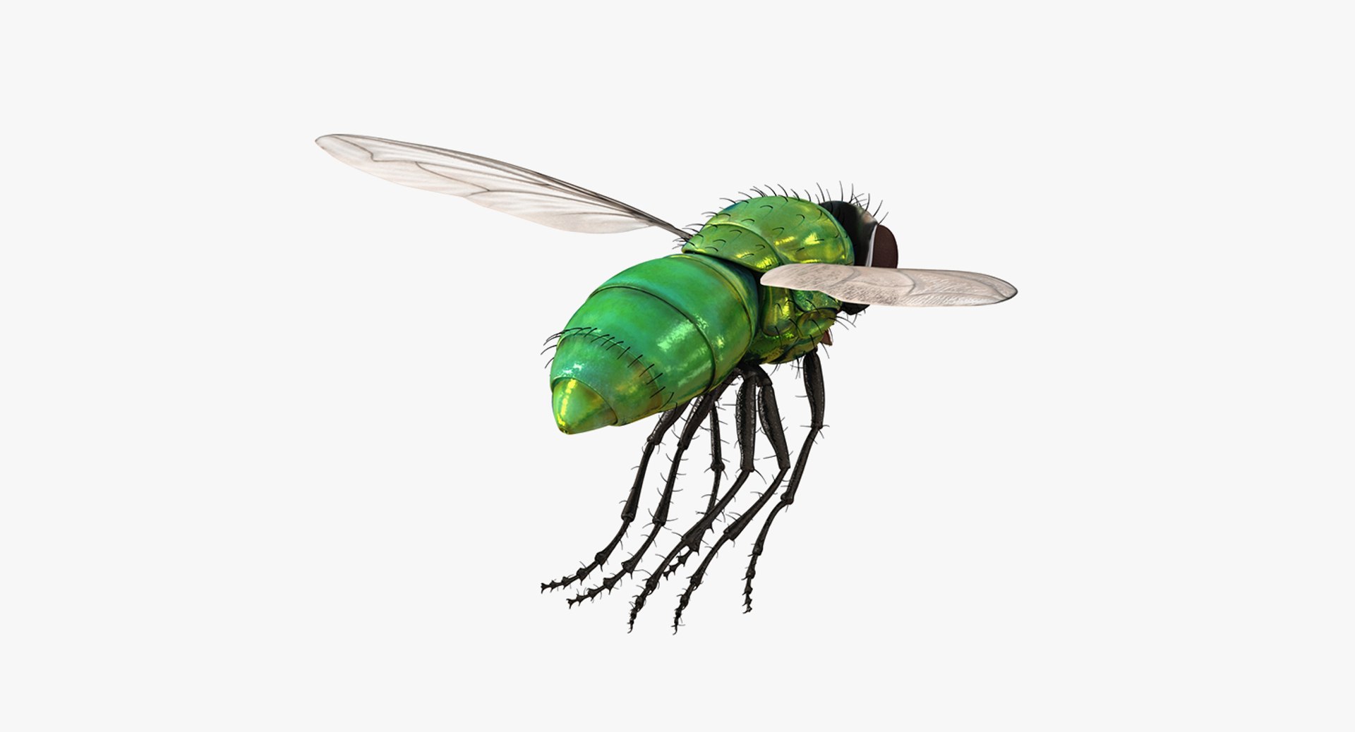 rigged flying insects 2 model https://p.turbosquid.com/ts-thumb/CQ/JOiv0L/lEWULh8t/riggedflyinginsectscollection2c4dmodel071/jpg/1603705633/1920x1080/fit_q87/408c11eec0df31c18b743bff45102e77c9b3a50e/riggedflyinginsectscollection2c4dmodel071.jpg